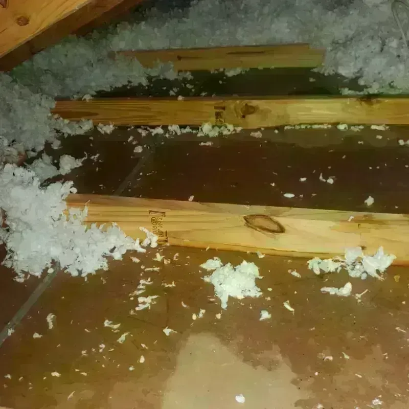 Attic Water Damage in Lincoln Square, IL