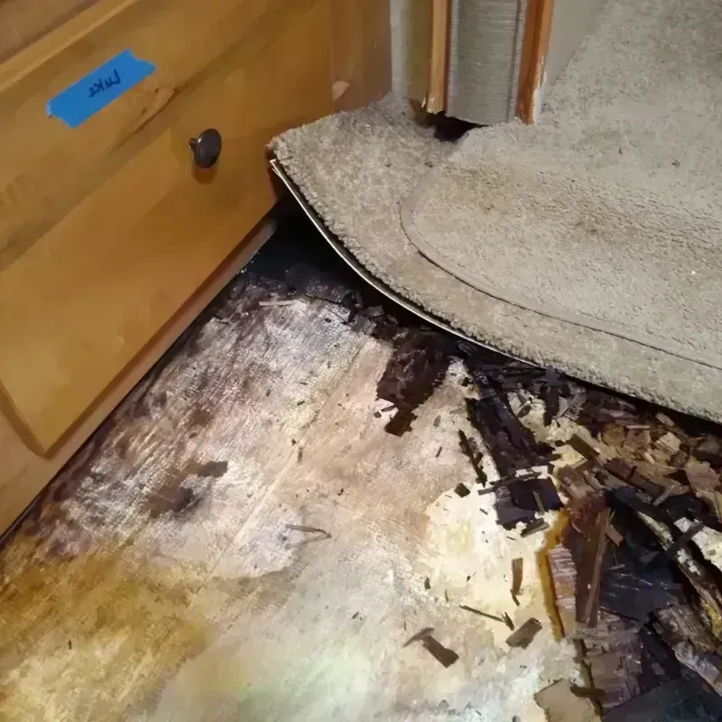 Wood Floor Water Damage in Lincoln Square, IL